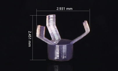 Dust Plug