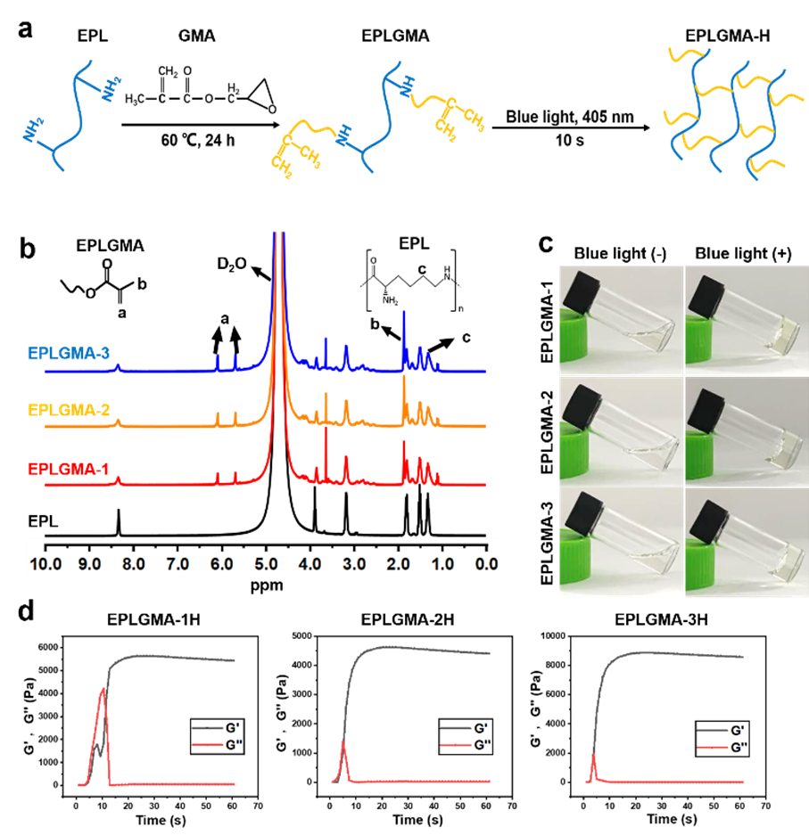 湖南大學劉海蓉課題組：一種可用于3D生物打印的抗菌ε-聚賴氨酸衍生生物墨水